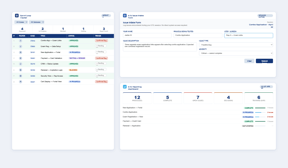 Testing Process Ecosystem